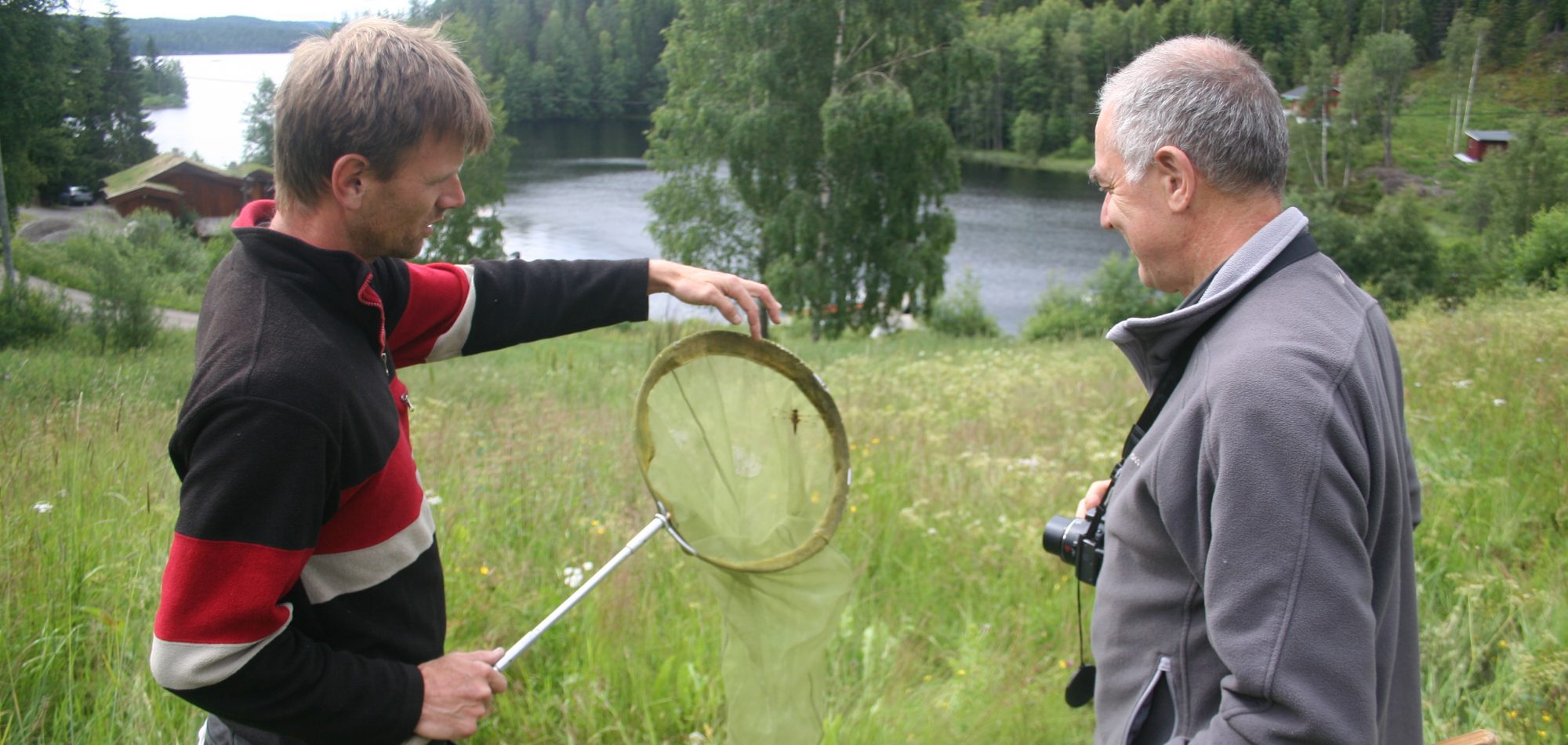 kartlegging av arter