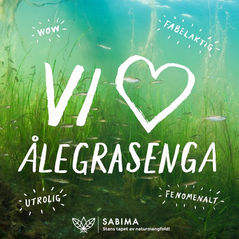 Jeg ❤ ålegrasenga! - Image 2