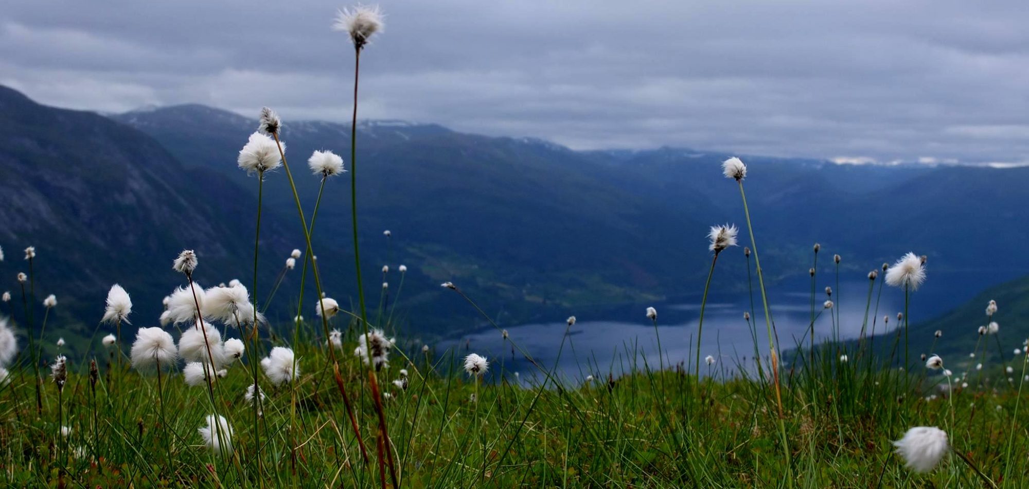 Foto: Ragna Kronstad