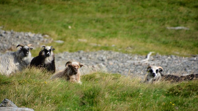 FOTO: Ragna Kronstad