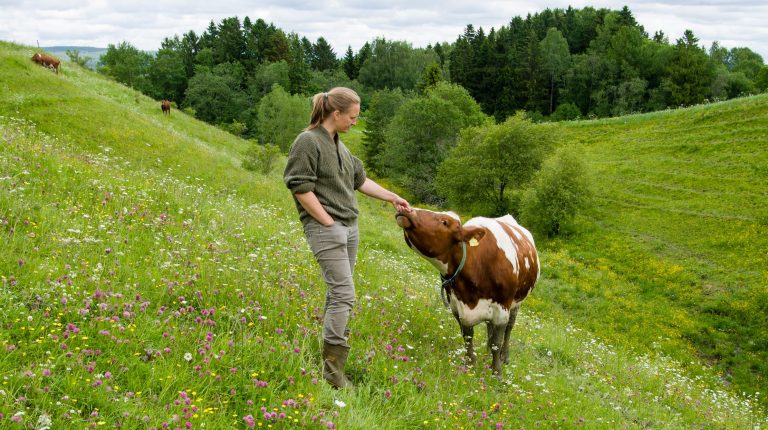 Bildet viser en kvinnelig bonde som hilser på en ku. Vinnerbilde i fotokonkurranse om naturbeiteeng, tatt av Sverre Solberg.