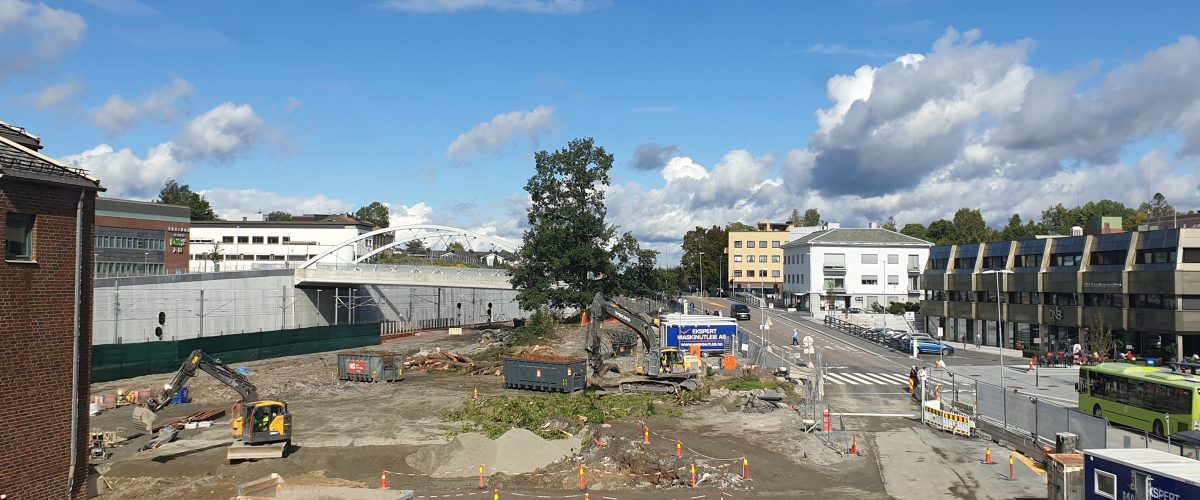 Ensom eik på byggeplass i bebygget område.