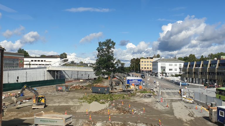 Ensom eik på byggeplass i bebygget område.