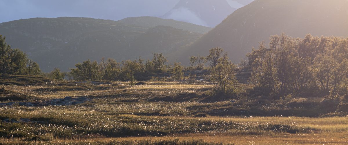 Myr og fjell i høstsol.