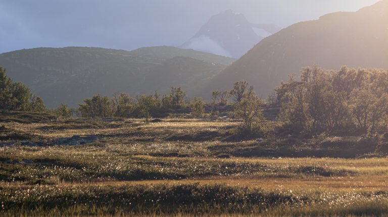 Myr og fjell i høstsol.