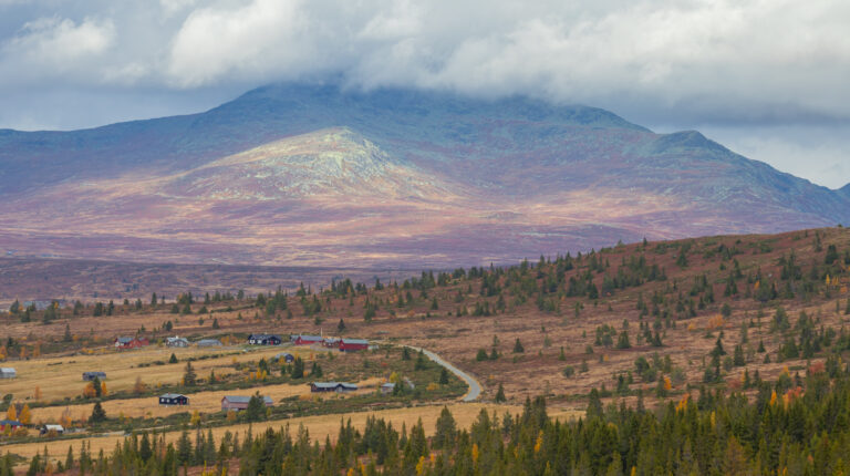 Valdres med myr og hytter.